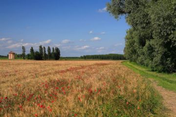 Foto di M.Perotti